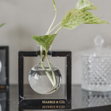 Mulan Bulb Vase - 1 Glass