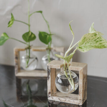 Mulan Bulb Vase - 1 Glass