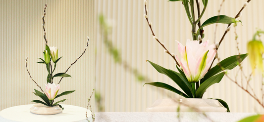 ROOTED Vase × Ikebana: Ikebana, Lima Elemen, dan Makna Hidup dalam Sebuah Kolaborasi