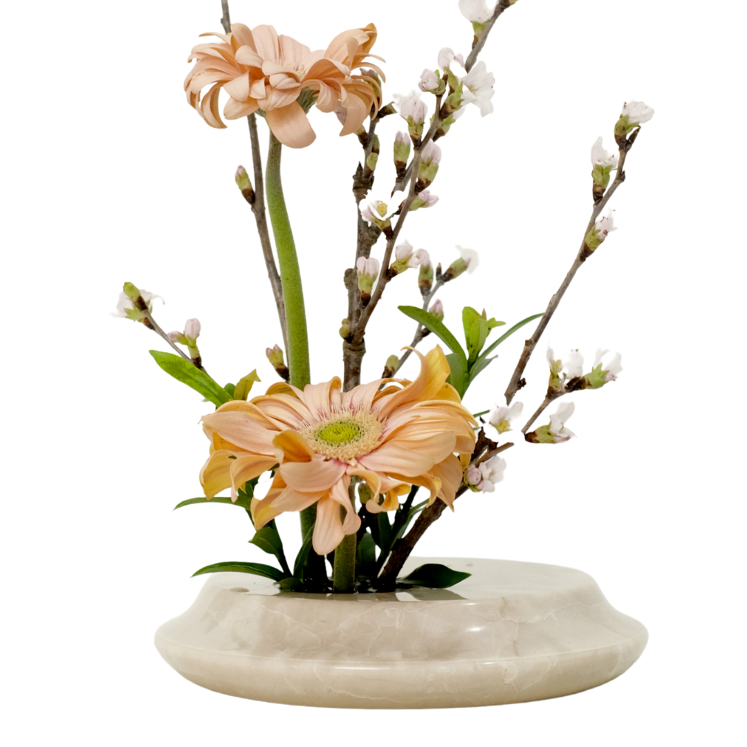 Marble & Co. | Rooted Vase Small