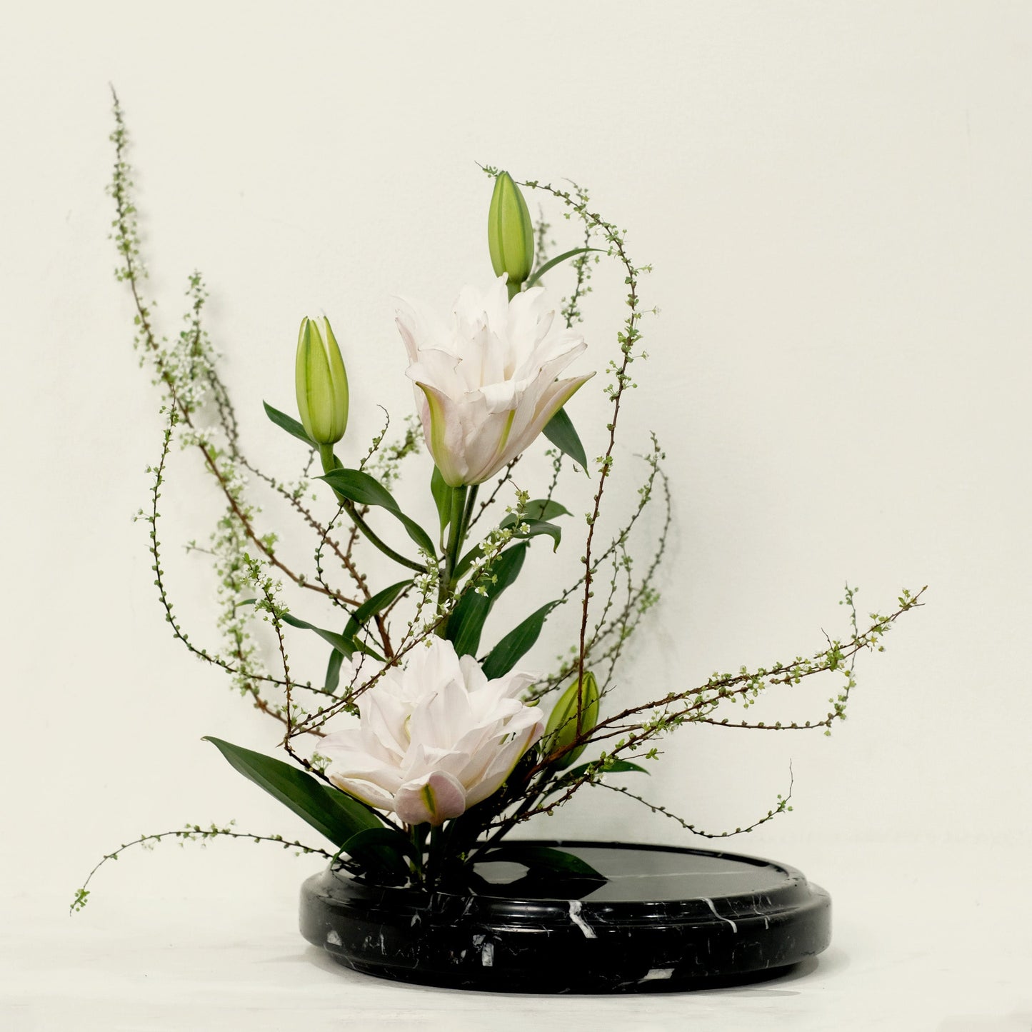 Marble & Co. | Rooted Vase Large