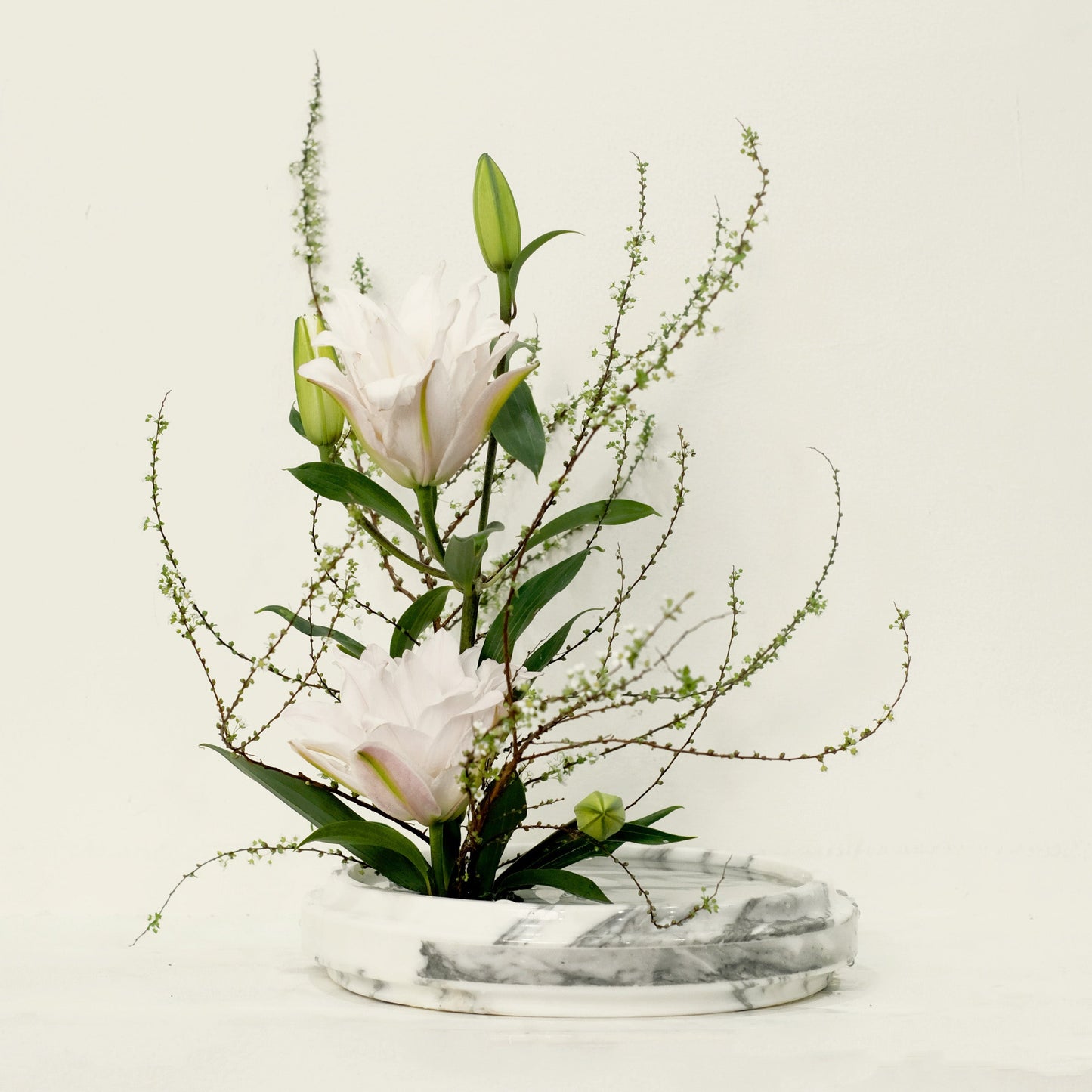Marble & Co. | Rooted Vase Large