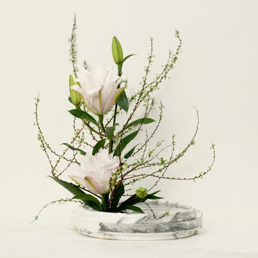 Marble & Co. | Rooted Vase Large