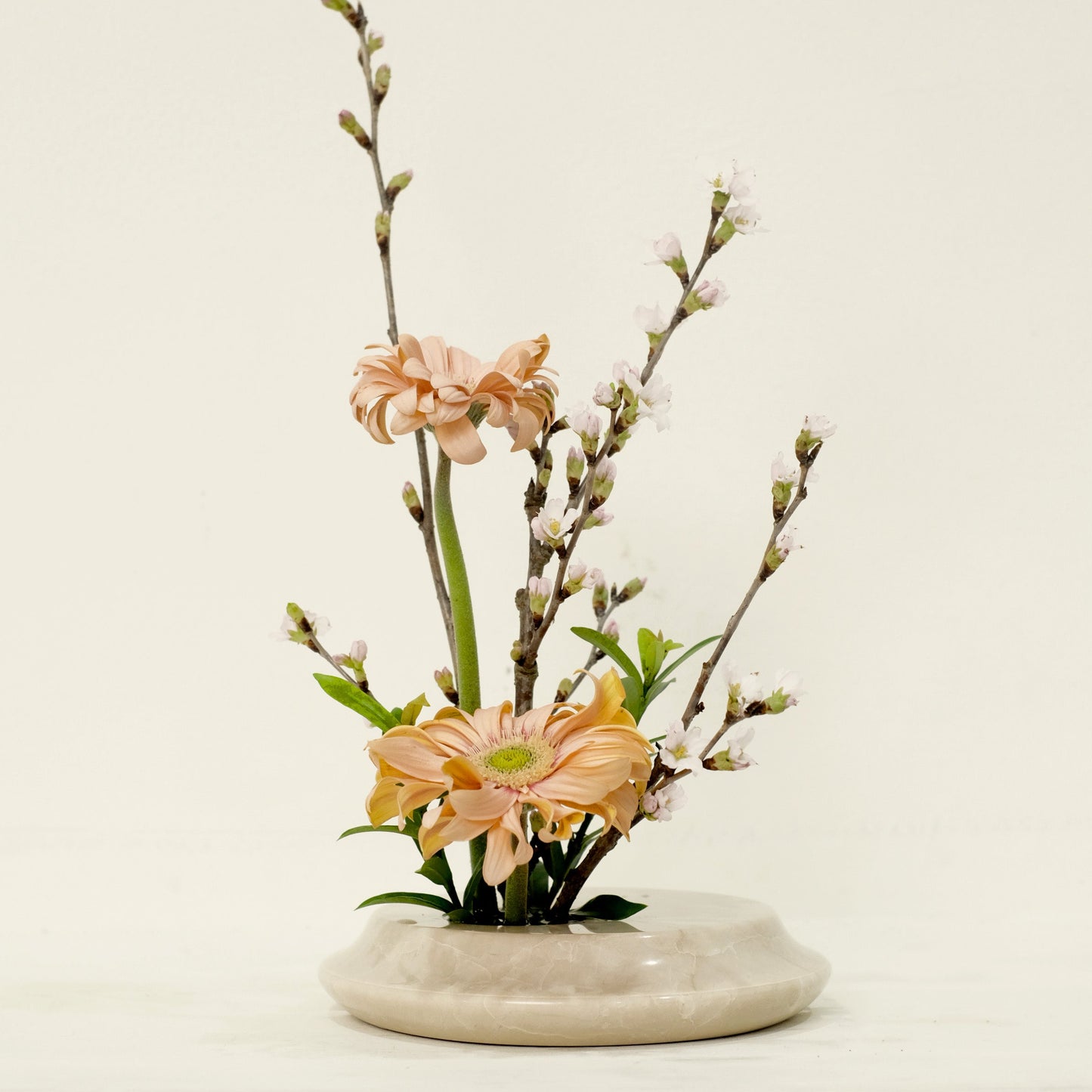 Marble & Co. | Rooted Vase Small