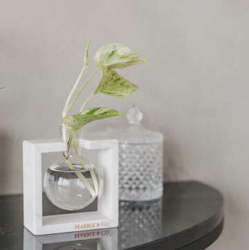Mulan Bulb Vase - 1 Glass