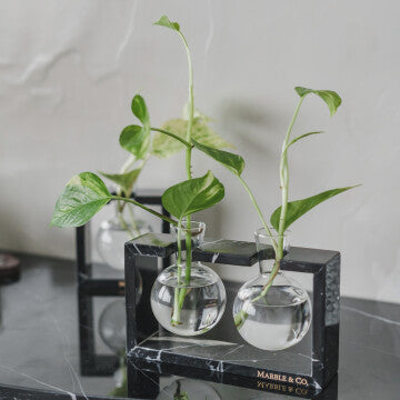 Mulan Bulb Vase - 2 Glass