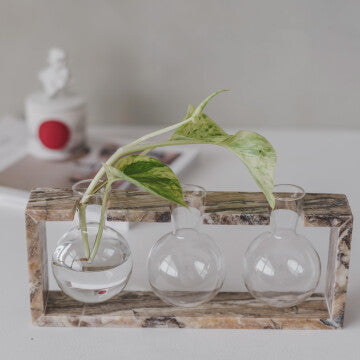 Mulan Bulb Vase - 3 Glass